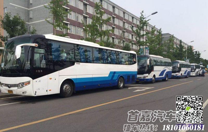 租车有什么问题