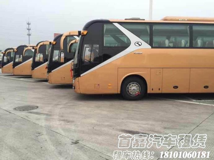 北京企事业单位定制车型