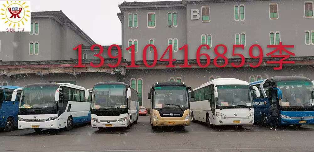 车辆租金都是比较昂贵