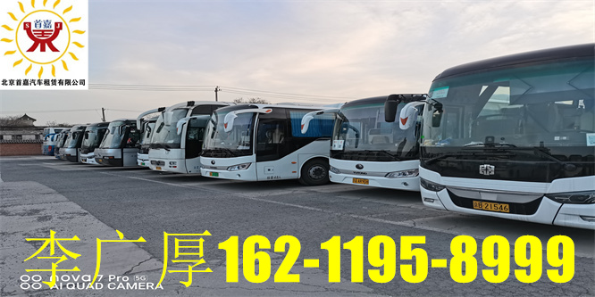 机动车类型分类