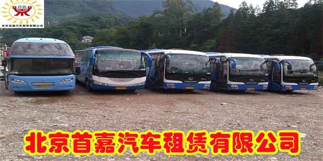 。国内租车平台主要包括以下几种保险