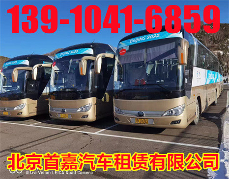 需要什么条件？如何办理租车手续？