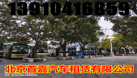 选择标准首先要看租车公司的车型