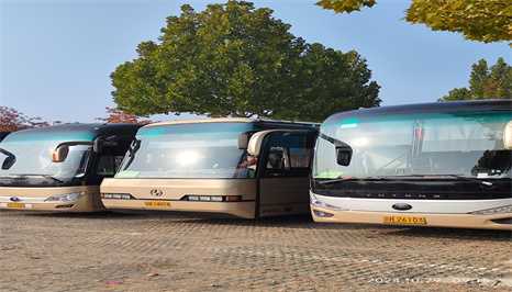 微信图片_20250420130019 微信图片_20250420130019